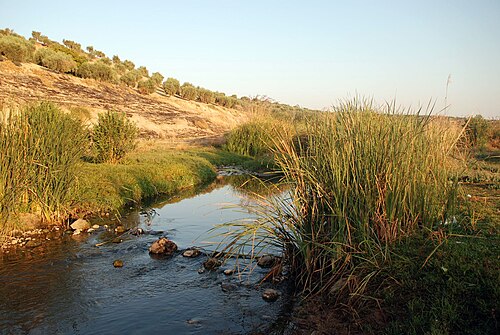 Afrin River